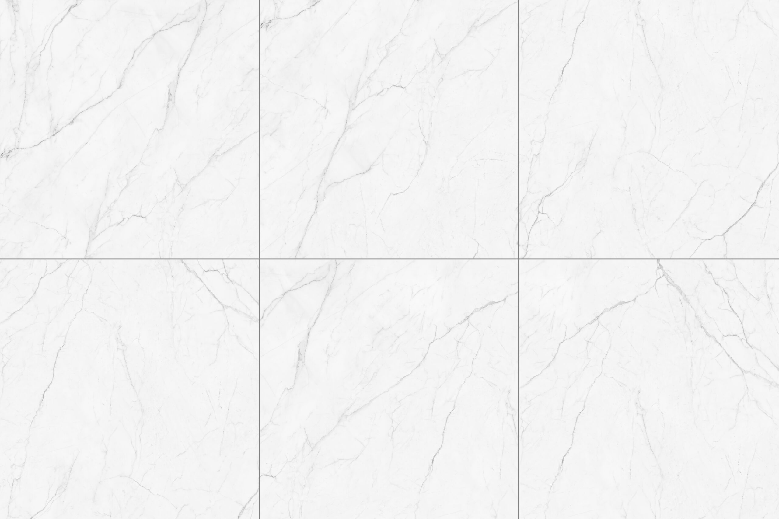 Calacatta Neo · 1200 x 1200 mm