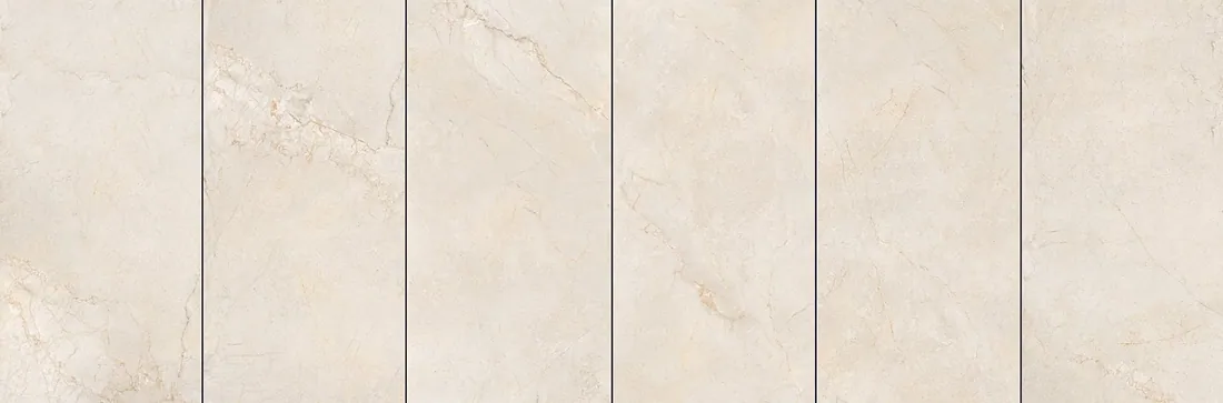 Gạch 60×120 Silver Root Be · OLX09B612B856